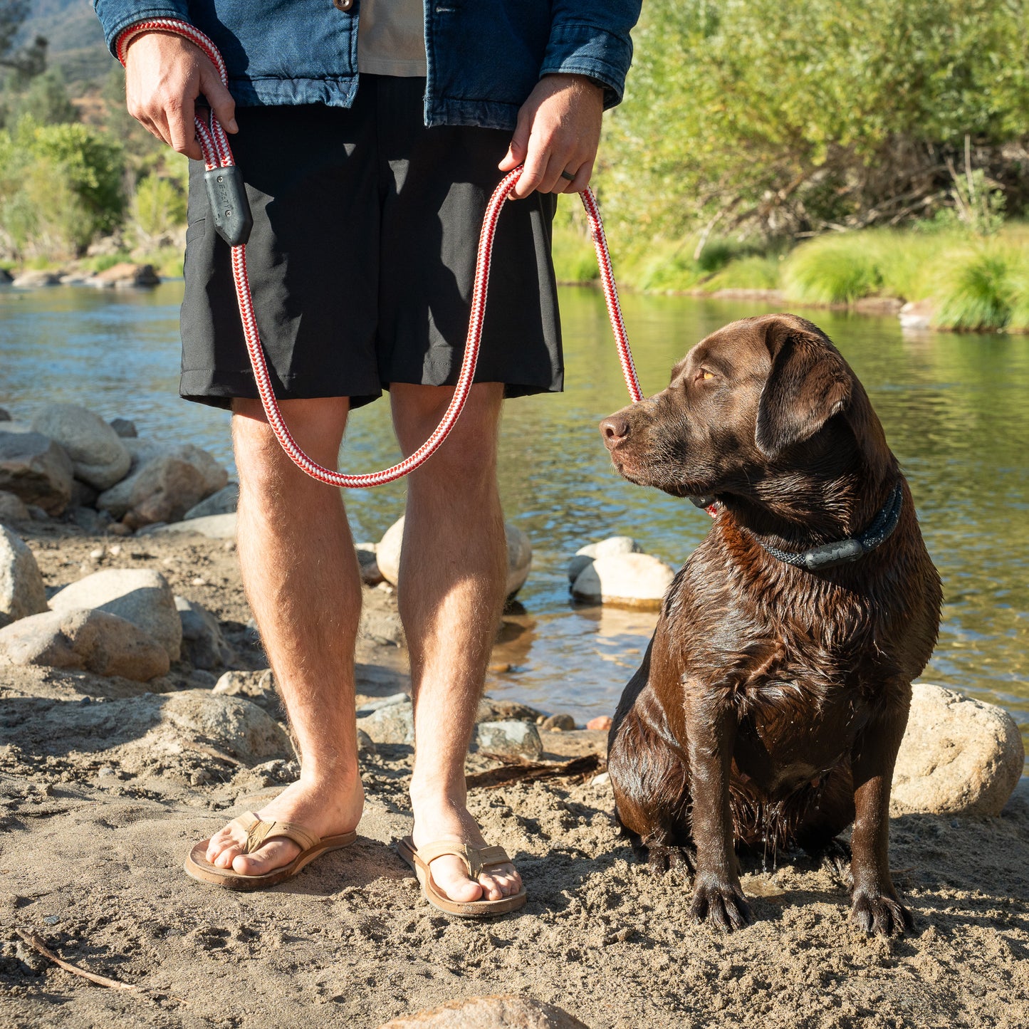 Salmon Rope Dog Leash, Man Holding Labrador Retriever Dog with Rope Dog Leash and Rope Dog Collar on River