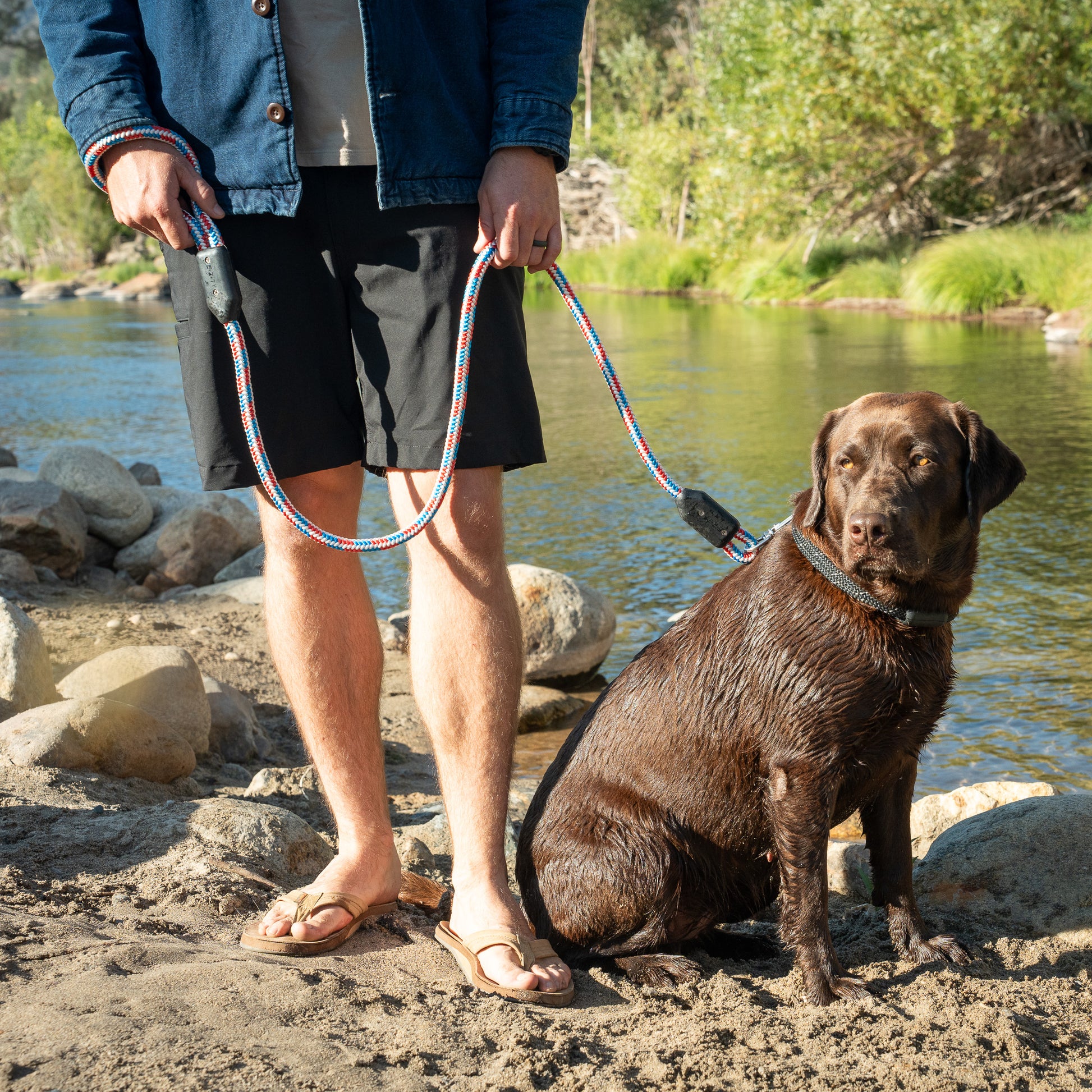 American Rope Dog Leash, Man Holding Wet Labrador Retriever Dog with Rope Dog Leash and Rope Dog Collar Near a River