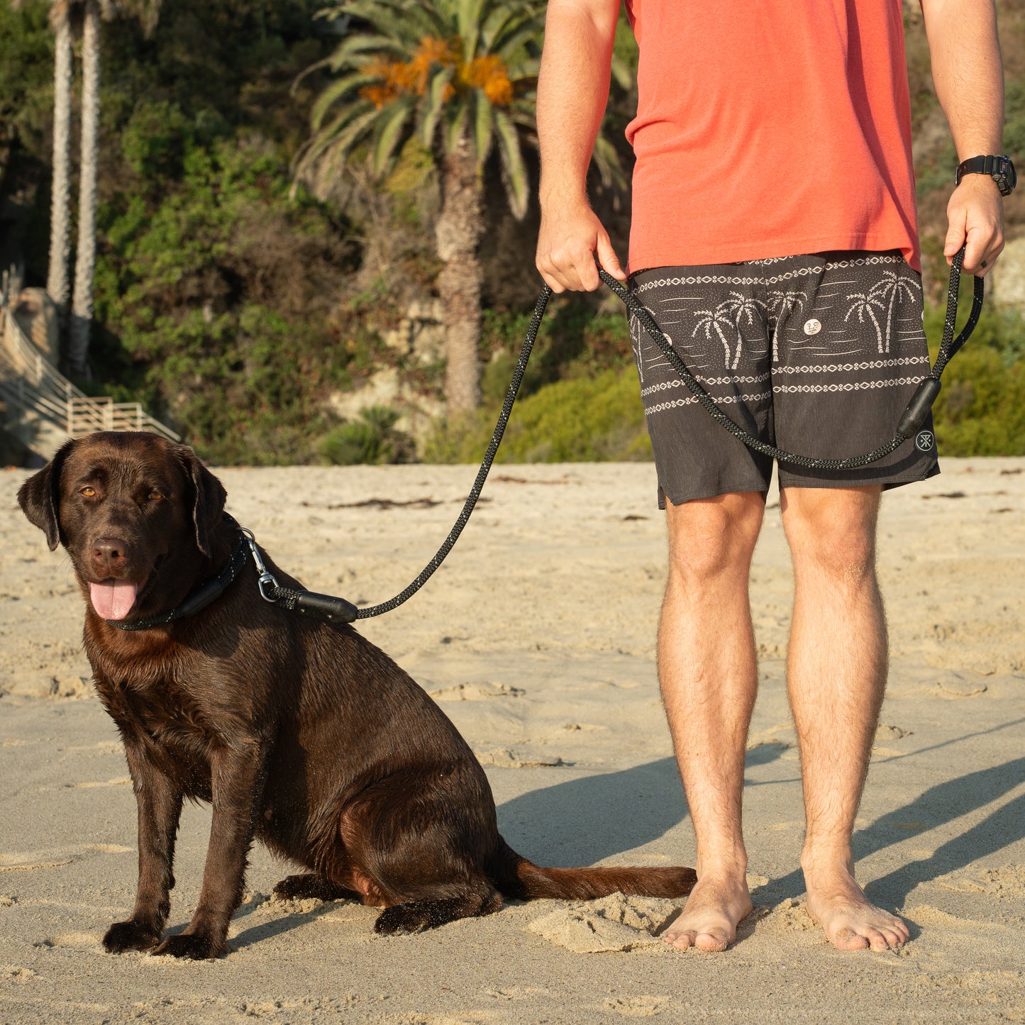 Arrowhead Rope Dog Leash, Man Holding Labrador Retriever Dog with Rope Dog Leash and Rope Dog Collar on Ocean Beach