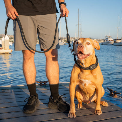 Arrowhead Rope Dog Leash, Man Holding Pit Bull Dog with Rope Dog Leash and Rope Dog Collar on Ocean Dock