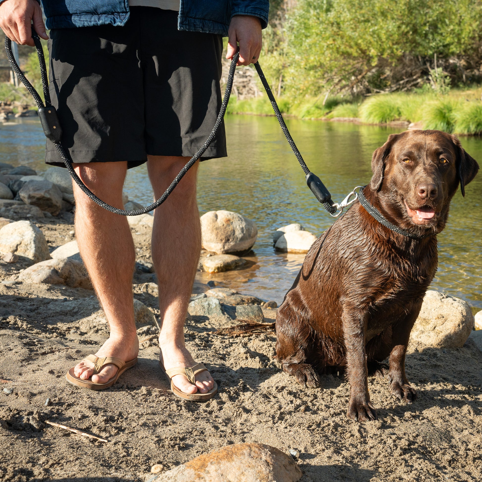 Arrowhead Rope Dog Leash, Man Holding Labrador Retriever Dog with Rope Dog Leash and Rope Dog Collar Near a River