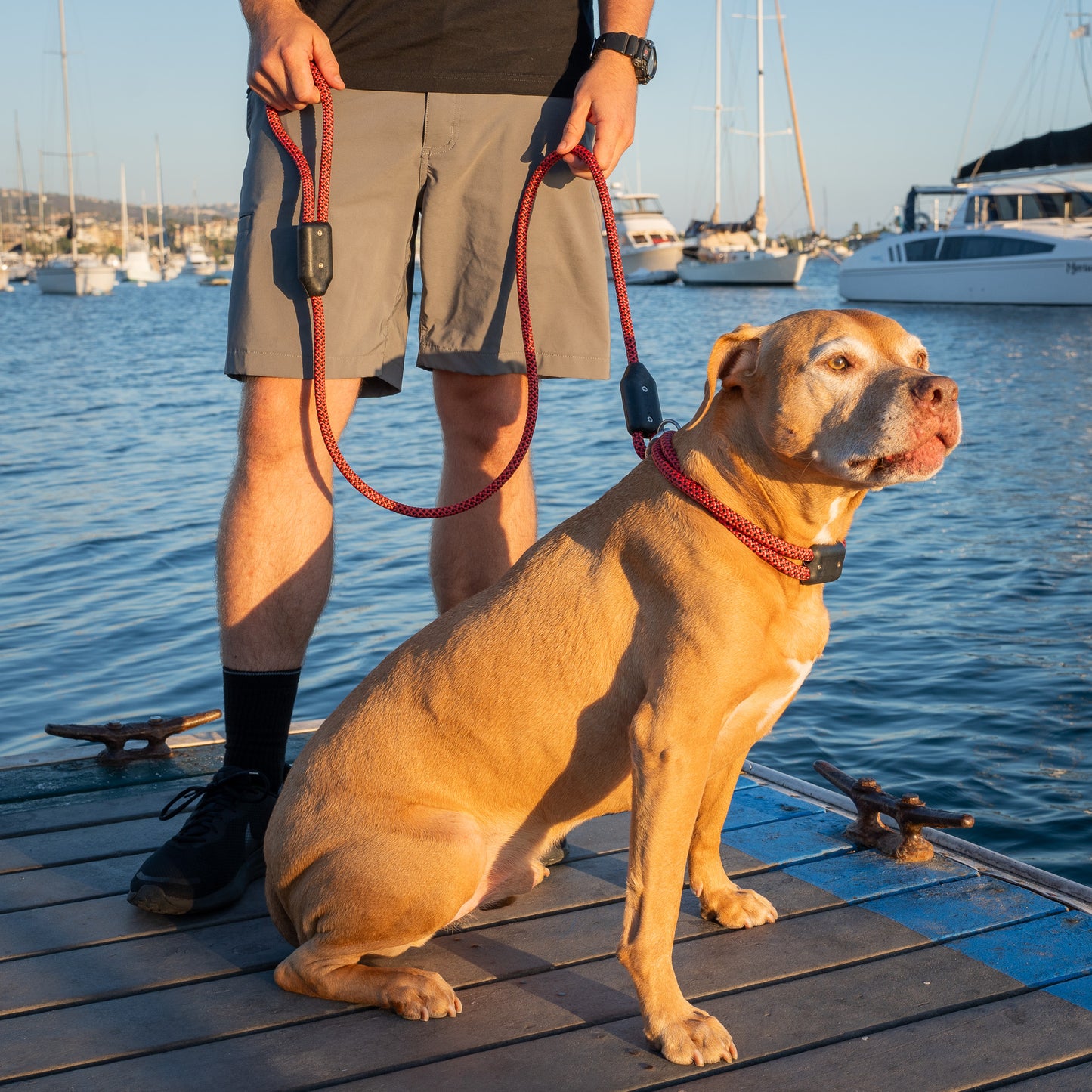 Colorado Rope Dog Leash, A Man Holds a Pitt Bull Dog with a Rope Dog Leash and a Rope Dog Collar on an Ocean Dock