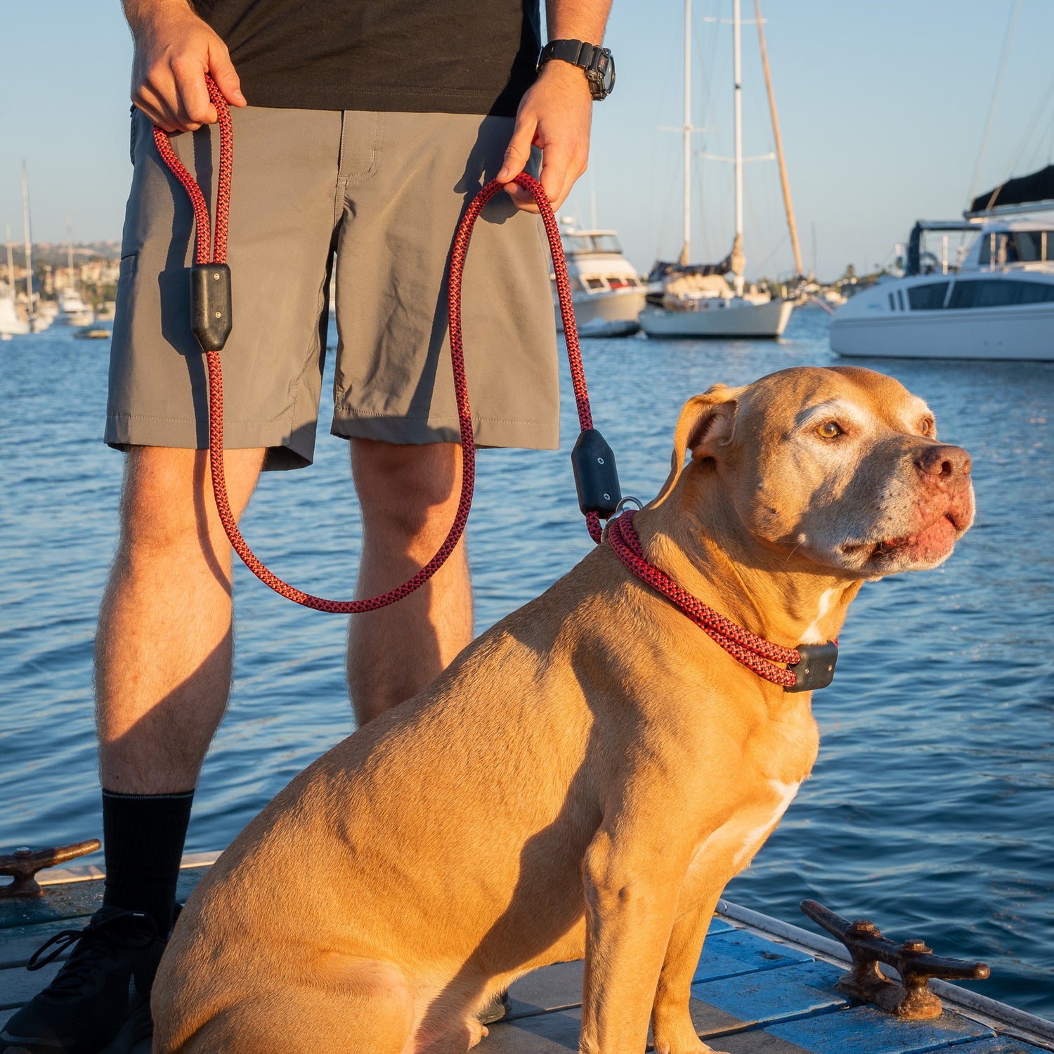 Colorado Rope Dog Leash, a man holds a pitt bull dog with a rope dog leash and a rope dog collar on an ocean dock