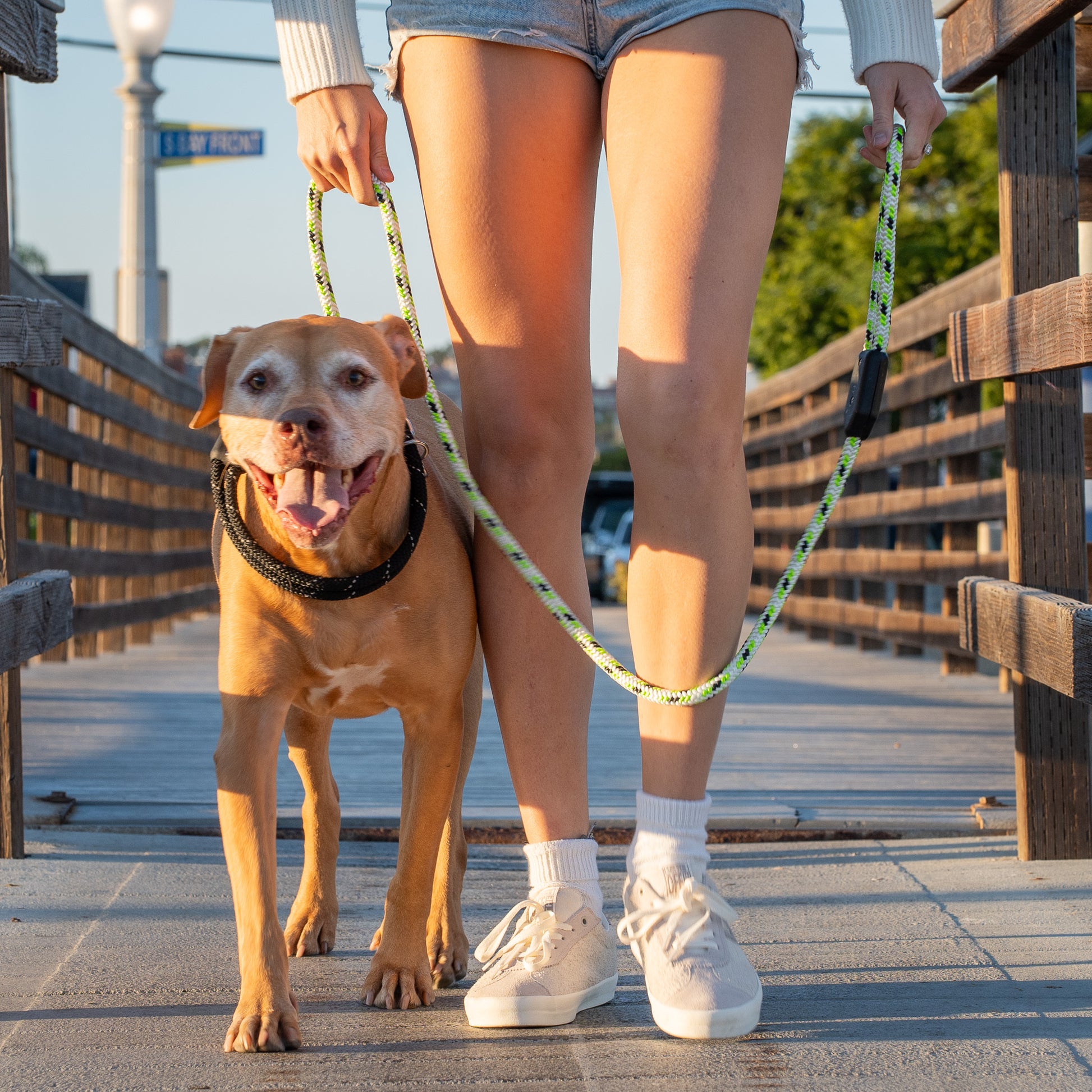 Huron Rope Dog Leash, Woman Walks Holding Pitbull Dog with Rope Dog Leash and Rope Dog Collar on Ocean Dock
