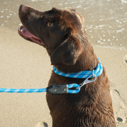 Pacific Rope Dog Collar, Labrador Retriever Dog Sitting and Smiling with Rope Dog Leash and Rope Dog Collar on Ocean Beach