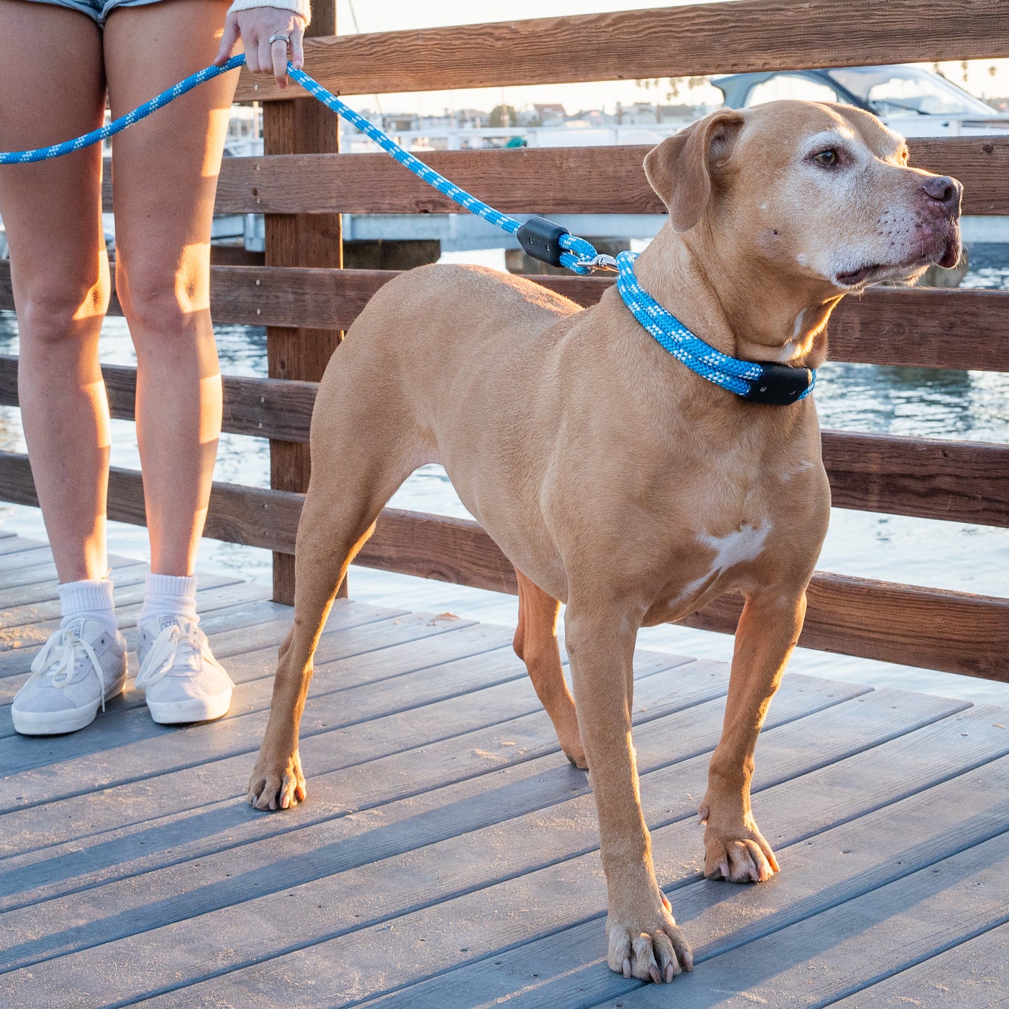 Pacific Rope Dog Collar, Woman Holding Pitt Bull Dog with Rope Dog Leash and Rope Dog Collar on Ocean Dock