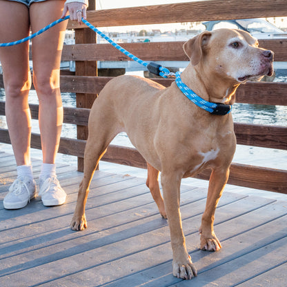 Pacific Rope Dog Collar, Woman Holding Pitt Bull Dog with Rope Dog Leash and Rope Dog Collar on Ocean Dock