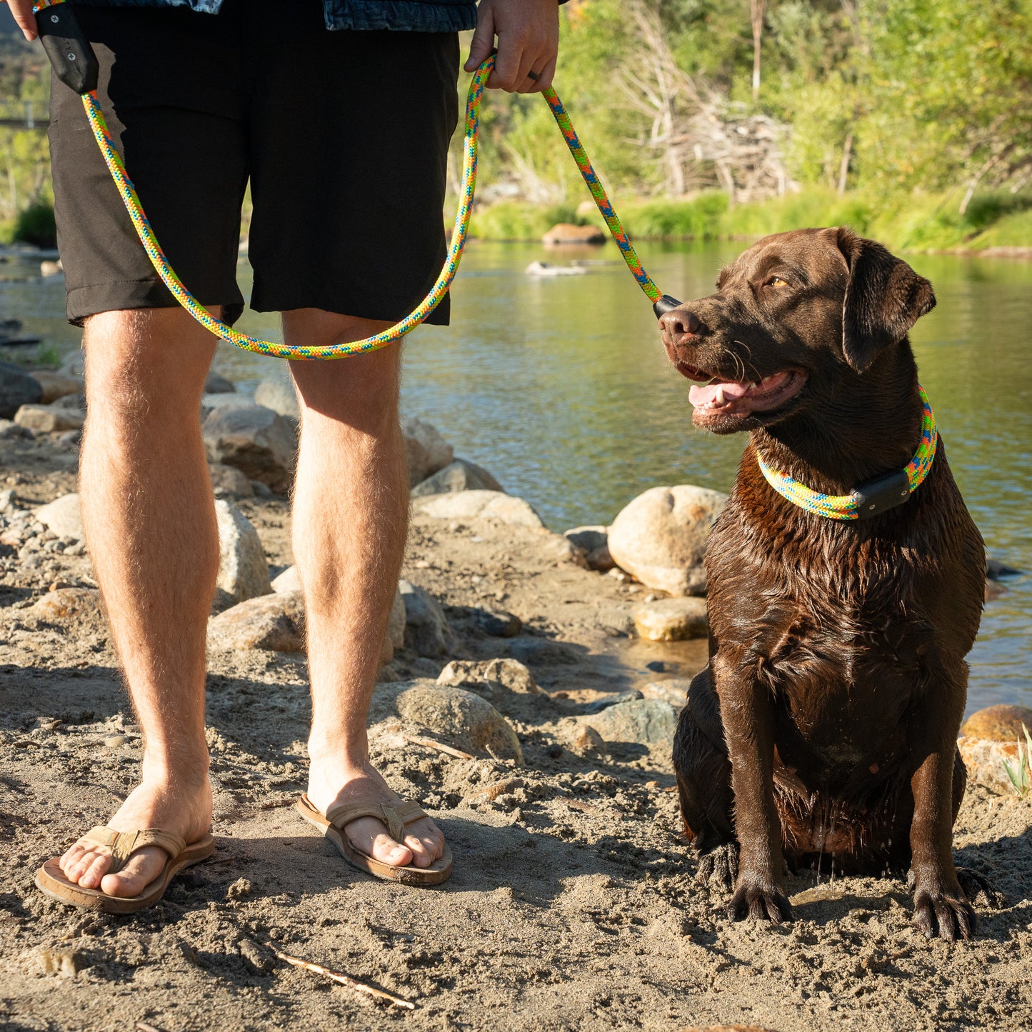 Powell Rope Dog Leash, Man Holding Labrador Retriever Dog with Rope Dog Leash and Rope Dog Collar on River